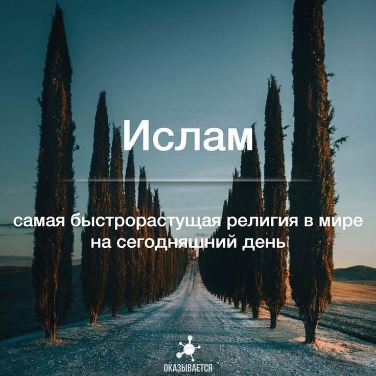 Ислам - удивительные факты